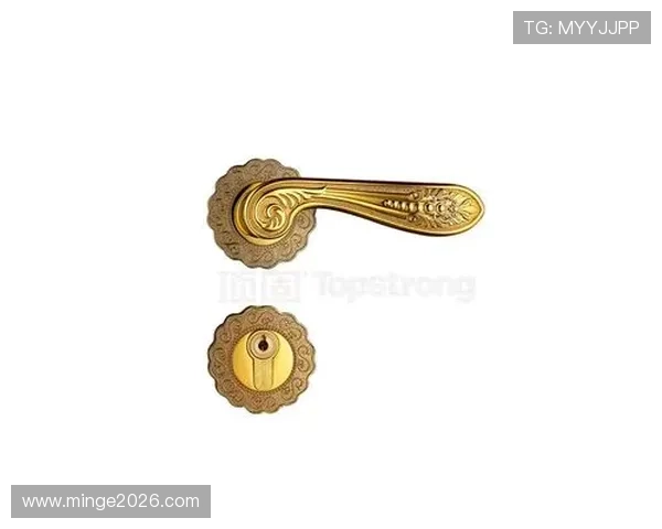 世界杯开户常见问题解答帮助新手用户顺利完成注册流程