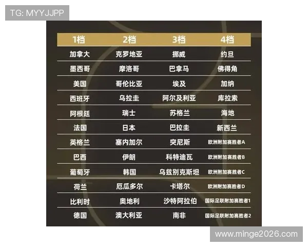 世界杯多久一次比赛安排及其对足球迷观赛计划的影响